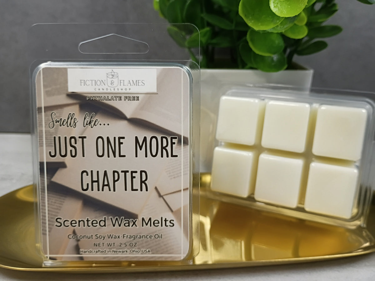 Book Themed Coconut Soy Wax Melts